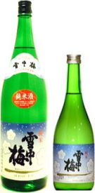 雪中梅